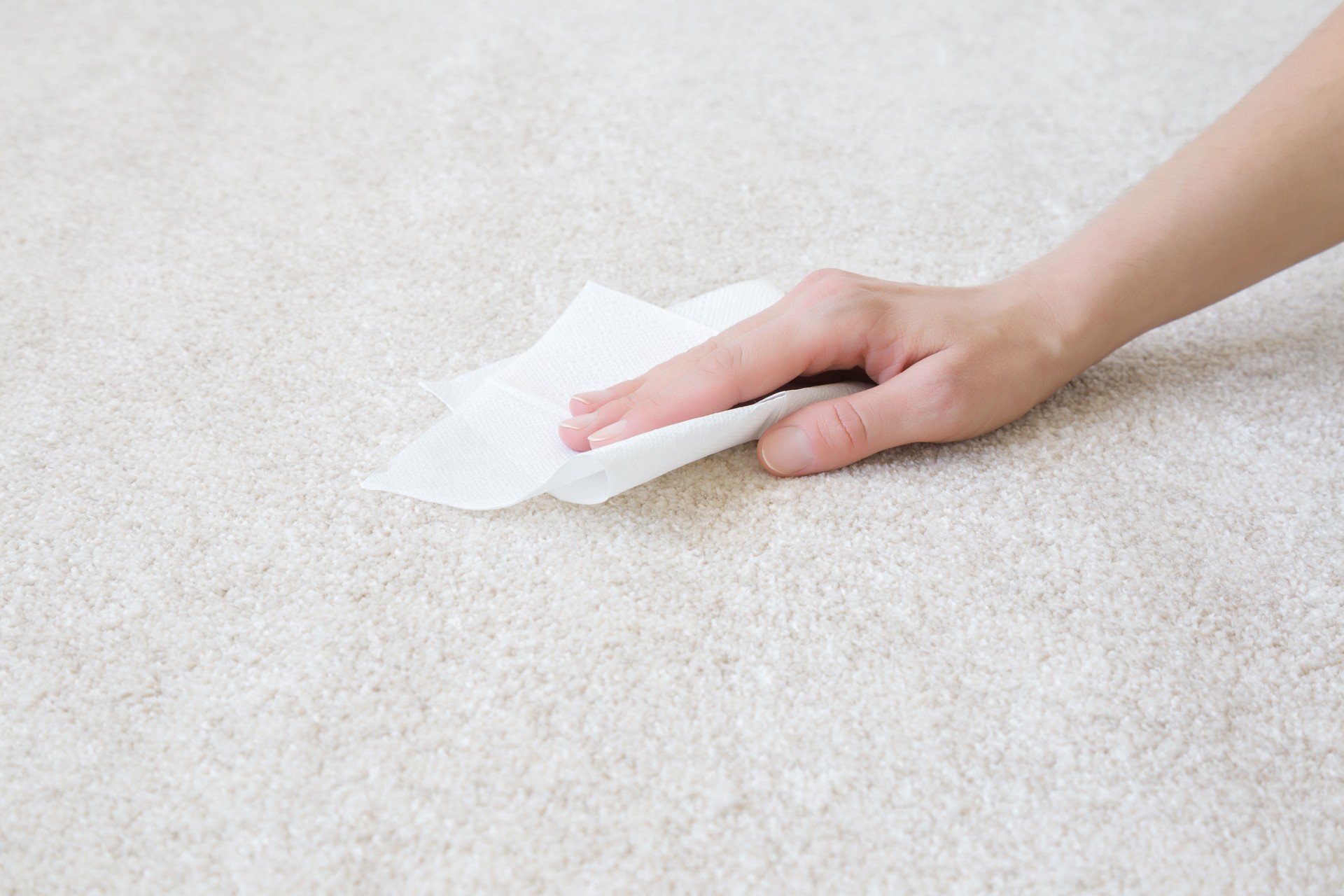 Young adult woman hand holding white dry paper napkin and cleaning light soft home carpet. Closeup. Side view.