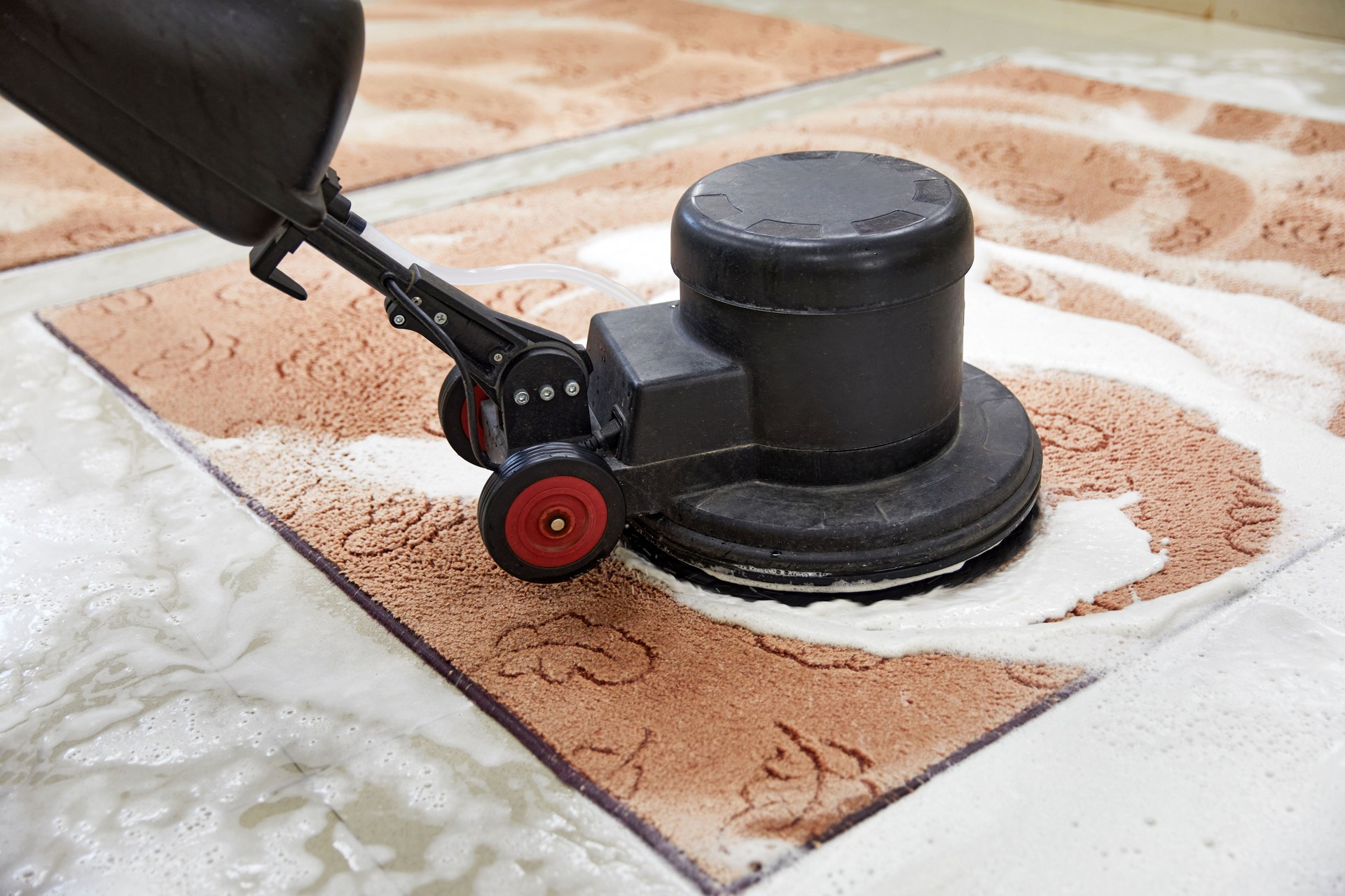 Carpet chemical cleaning with professionally disk machine. Early spring cleaning or regular clean up.